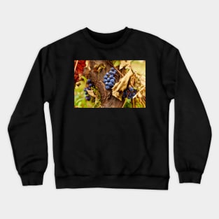 Blue grapes on a vine, closeup Crewneck Sweatshirt